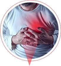 cordis médicament algérie