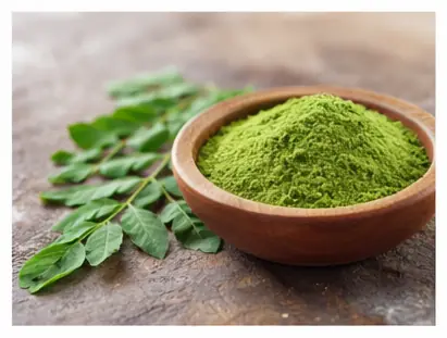 cordis médicament algérie-moringa-oleifera-photo